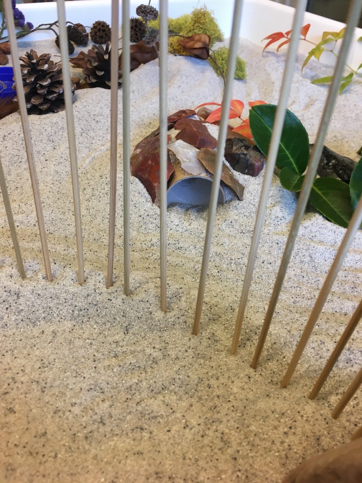 A group of birds in a cage  Description automatically generated with low confidence