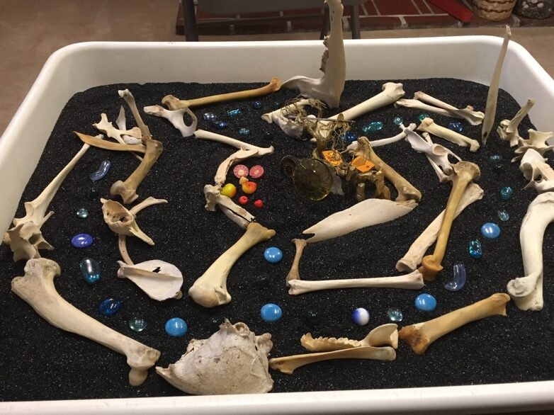 A black tray with bones and colored stones  Description automatically generated with medium confidence