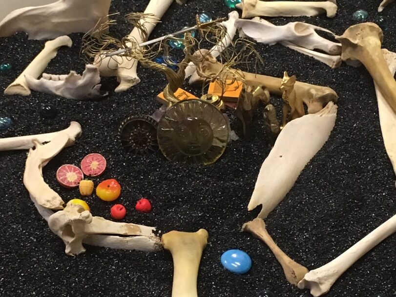 A group of bones and objects on a black surface  Description automatically generated